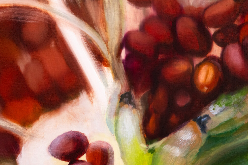 Secret Garden. Origanum majorana