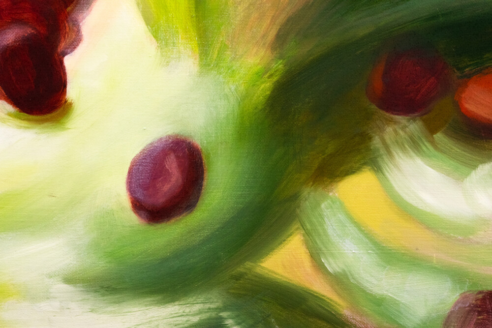 Secret Garden. Origanum majorana