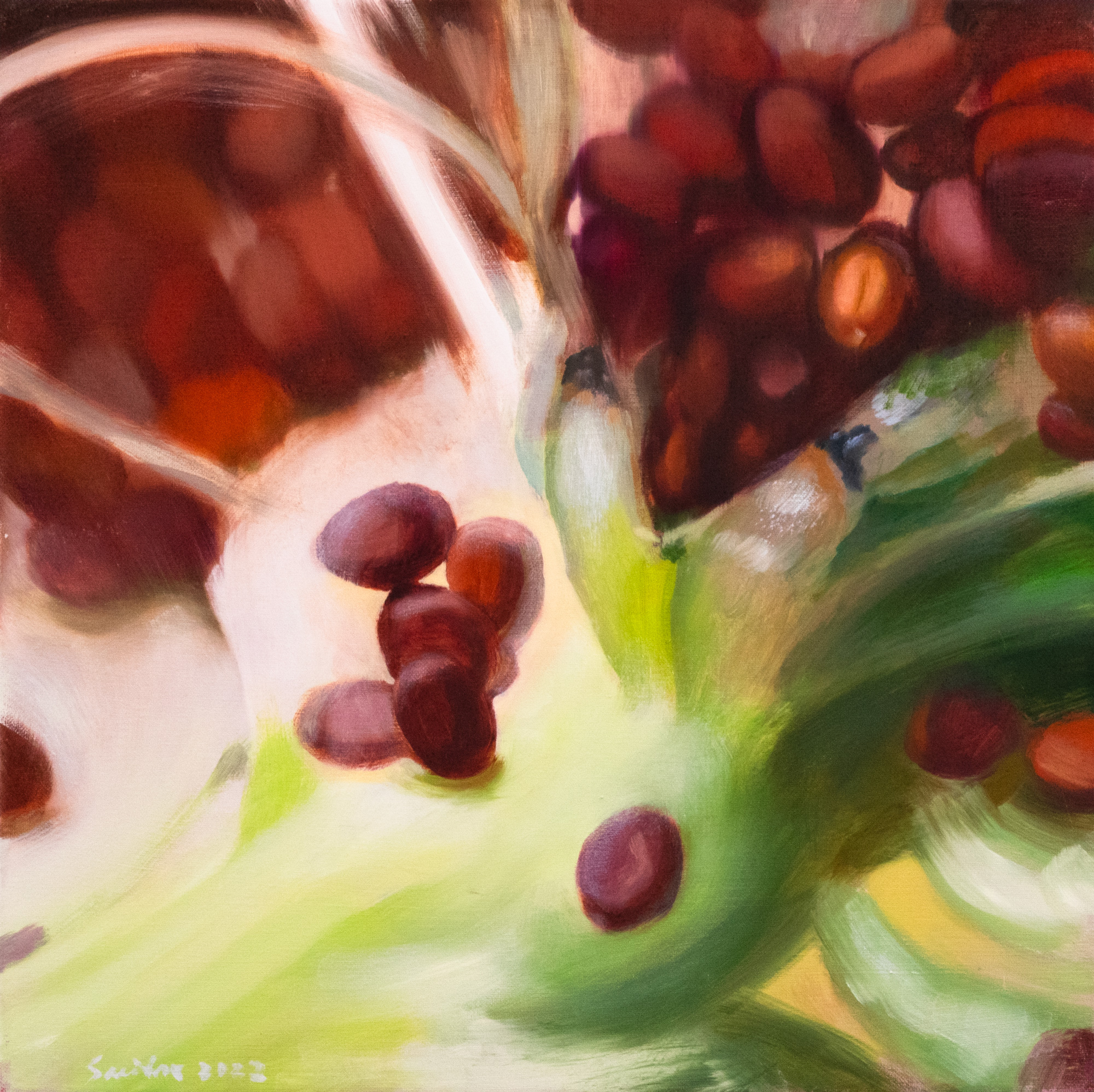 Secret Garden. Origanum majorana