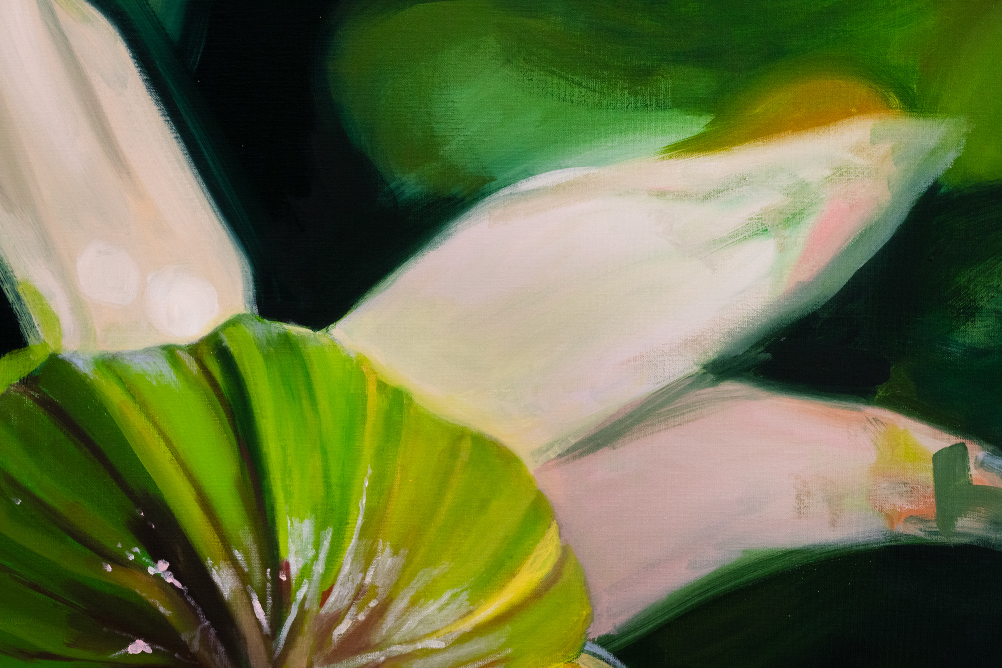 Secret Garden. The Promise of Beauty