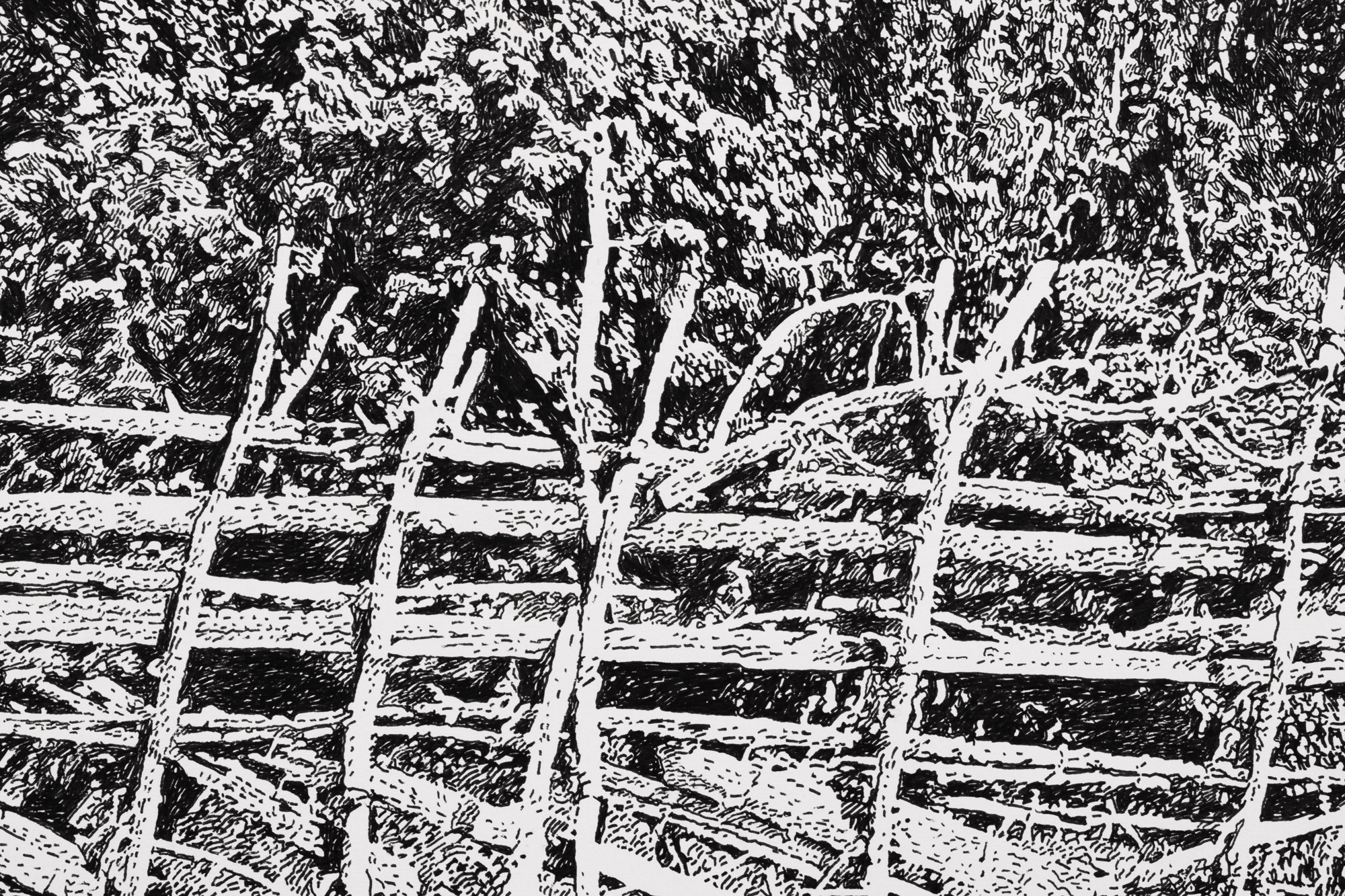 Saaremaa in Summer III