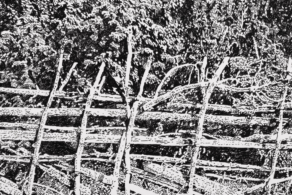 Saaremaa in Summer III