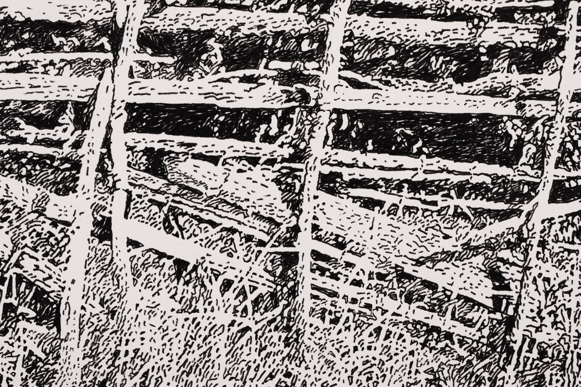 Saaremaa in Summer III