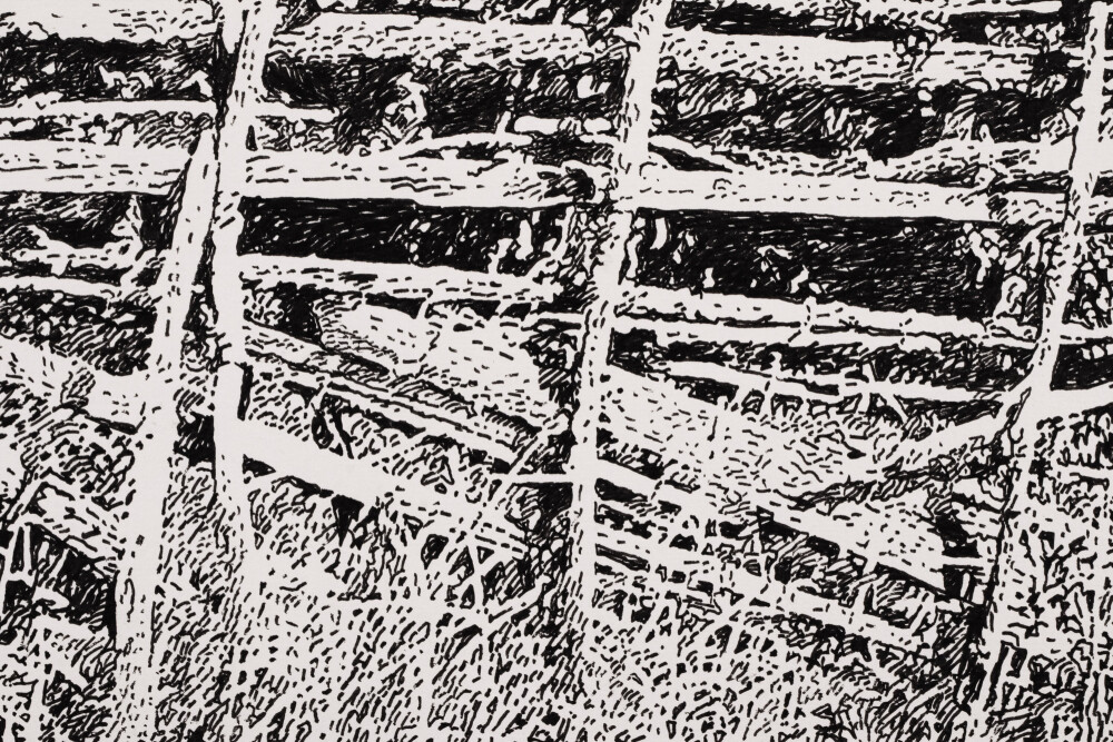 Saaremaa in Summer III