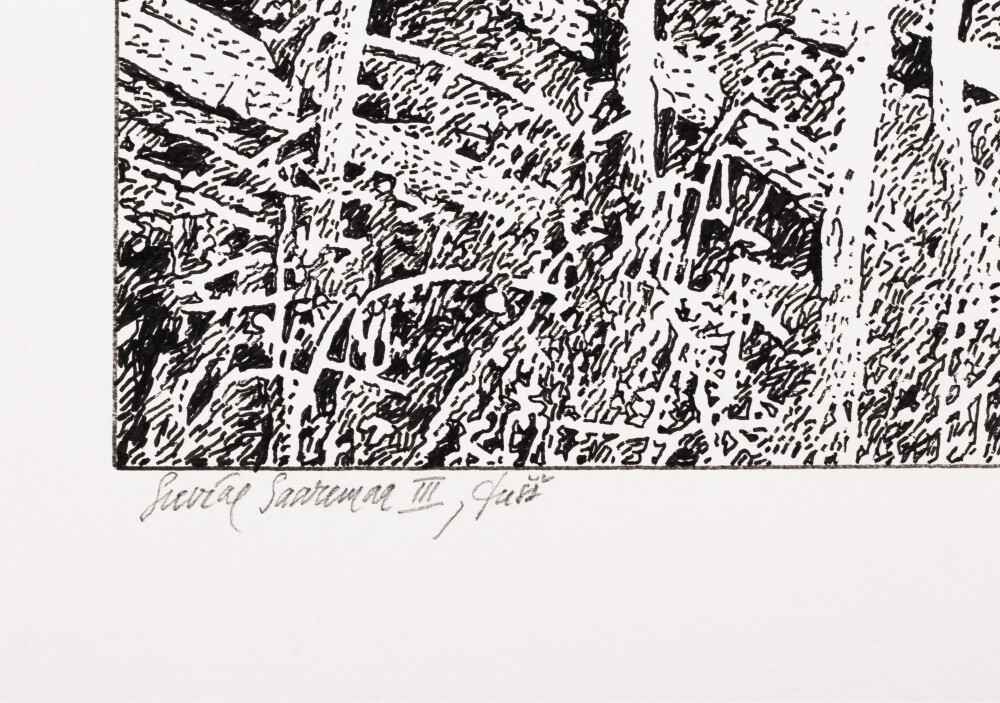 Saaremaa in Summer III