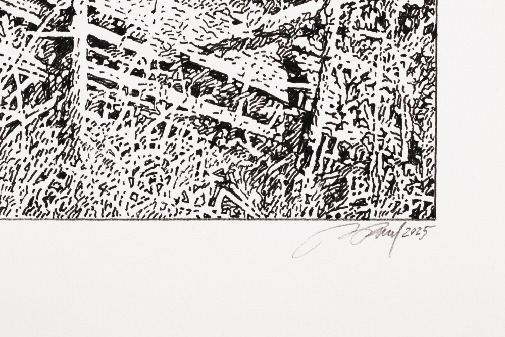 Saaremaa in Summer III