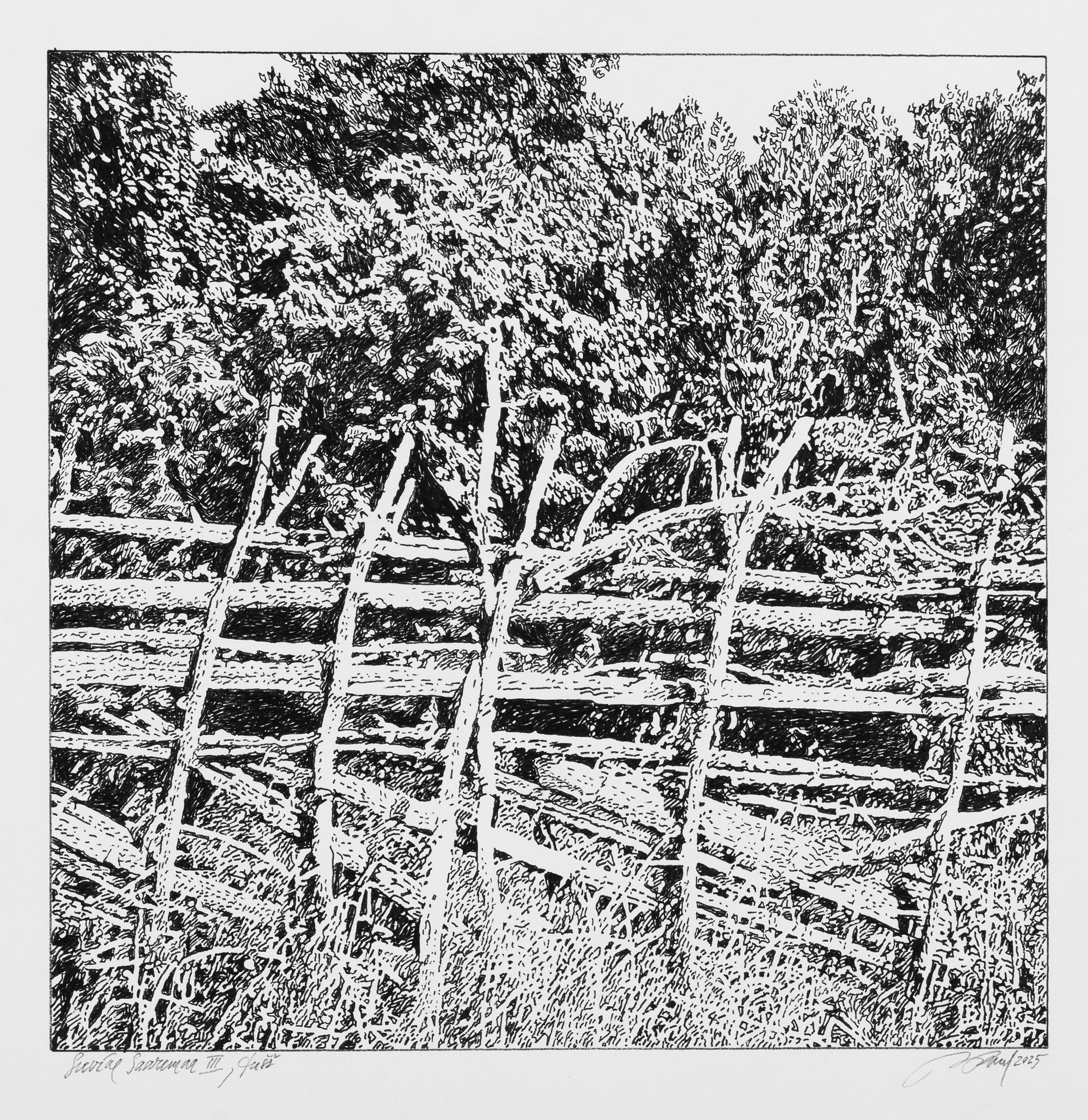 Saaremaa in Summer III