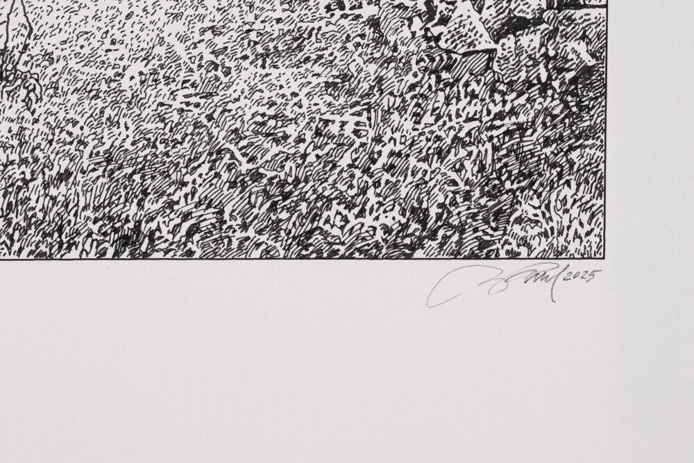 Vana ploomipuu Saaremaal