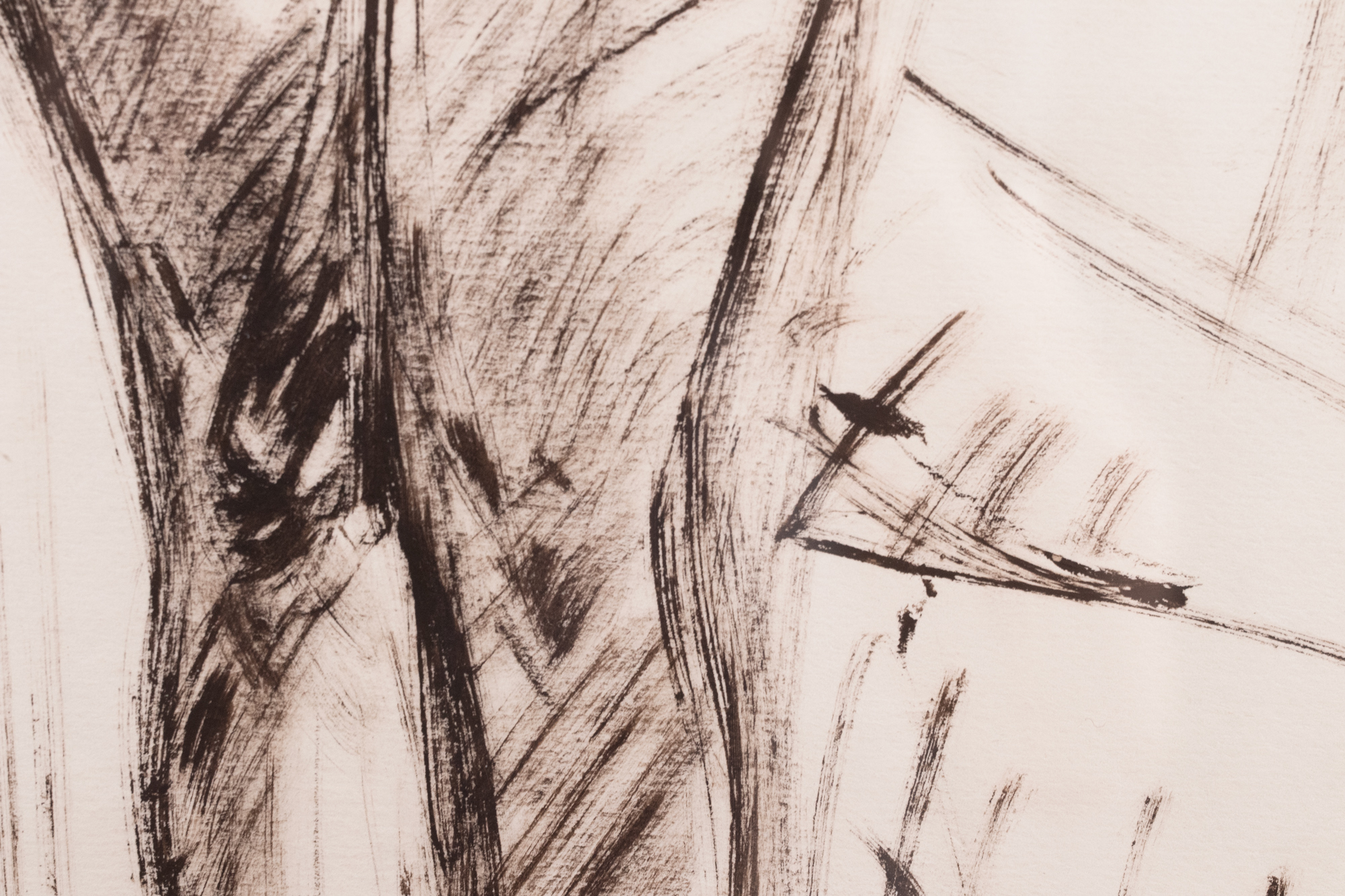 Toimunud