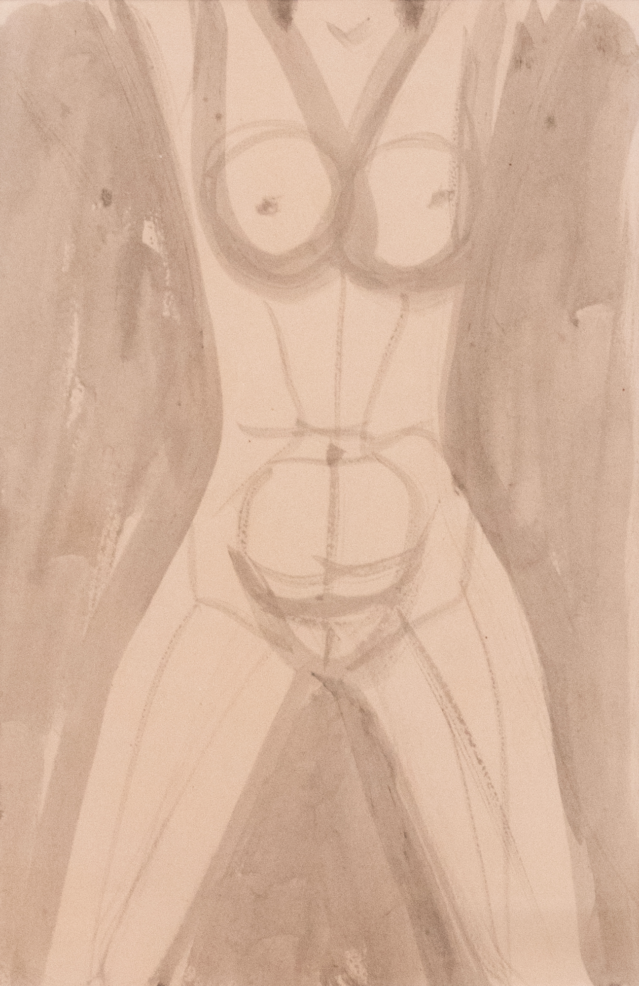 Torso