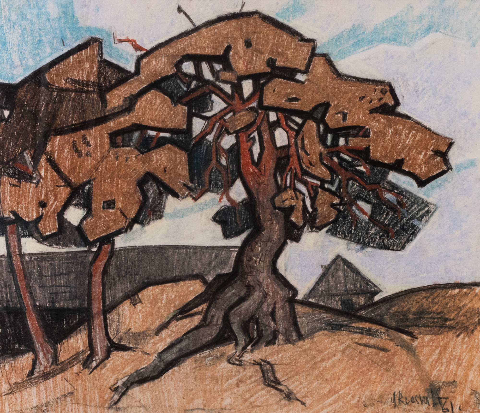 Ancient Trees