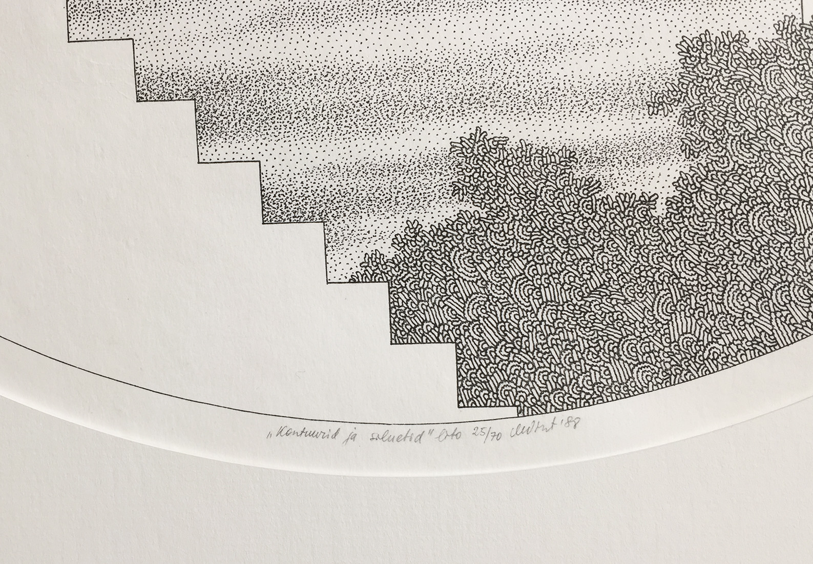 Kontuurid ja siluetid