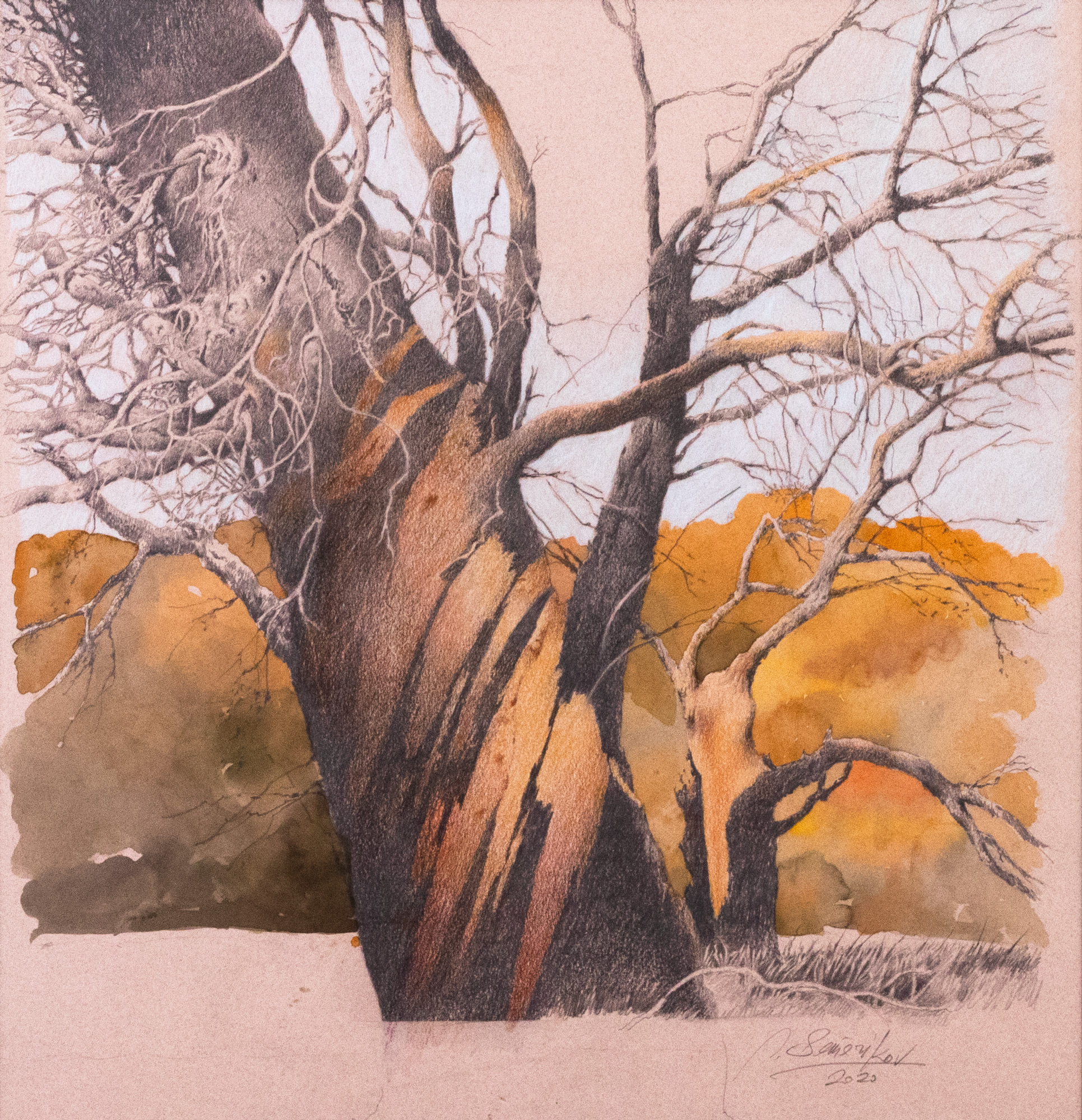Tree