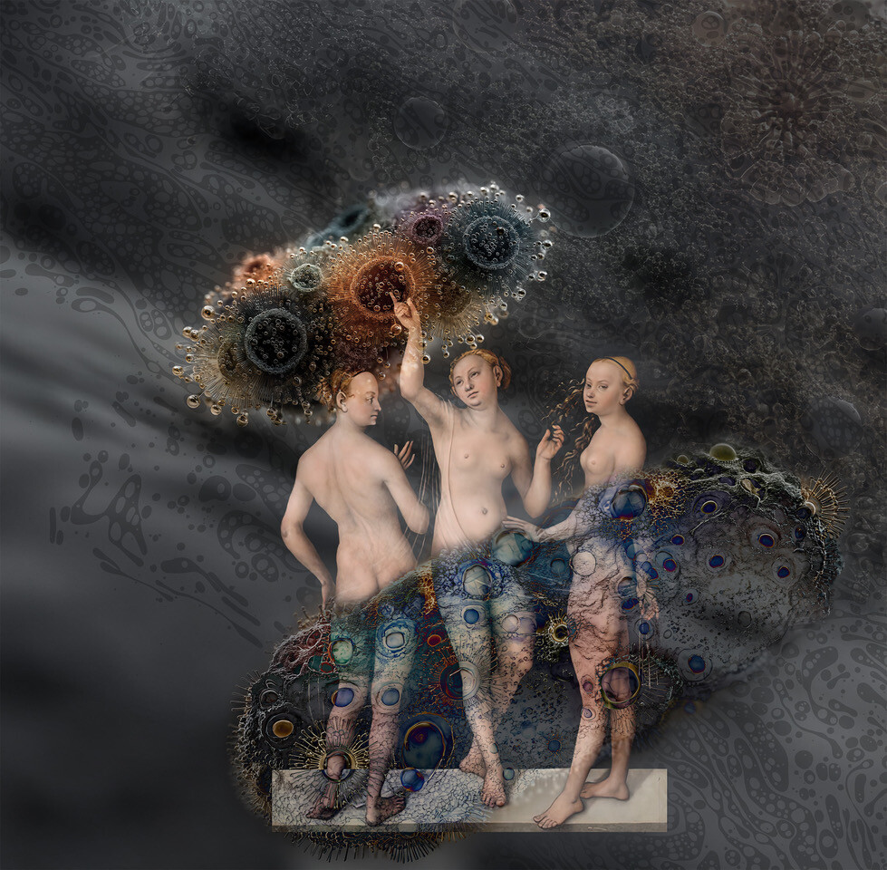 Graatsiad hellitavad elusat ainet