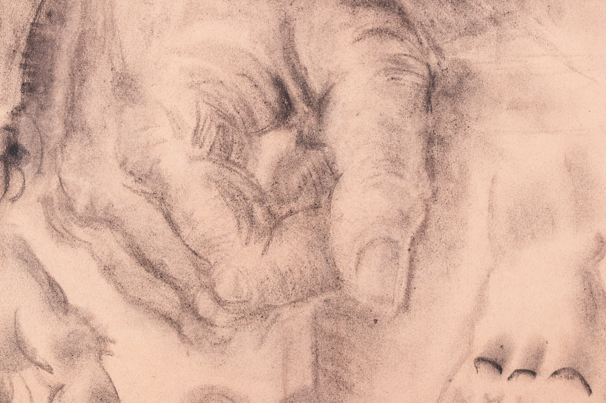 Visandid kätest ja näost