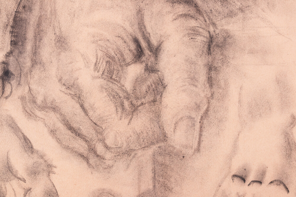 Visandid kätest ja näost