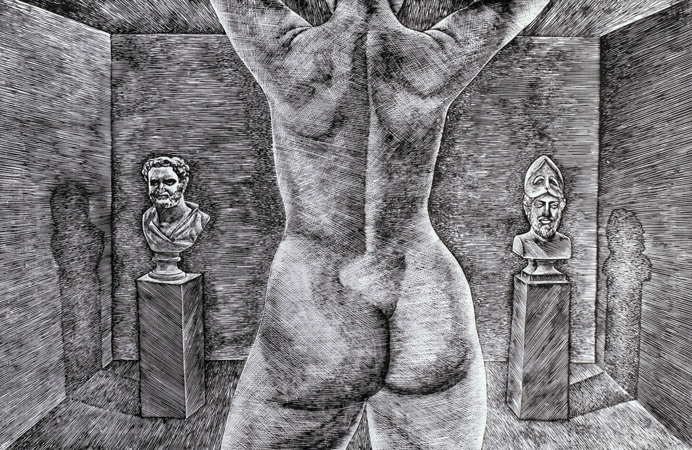 Torso