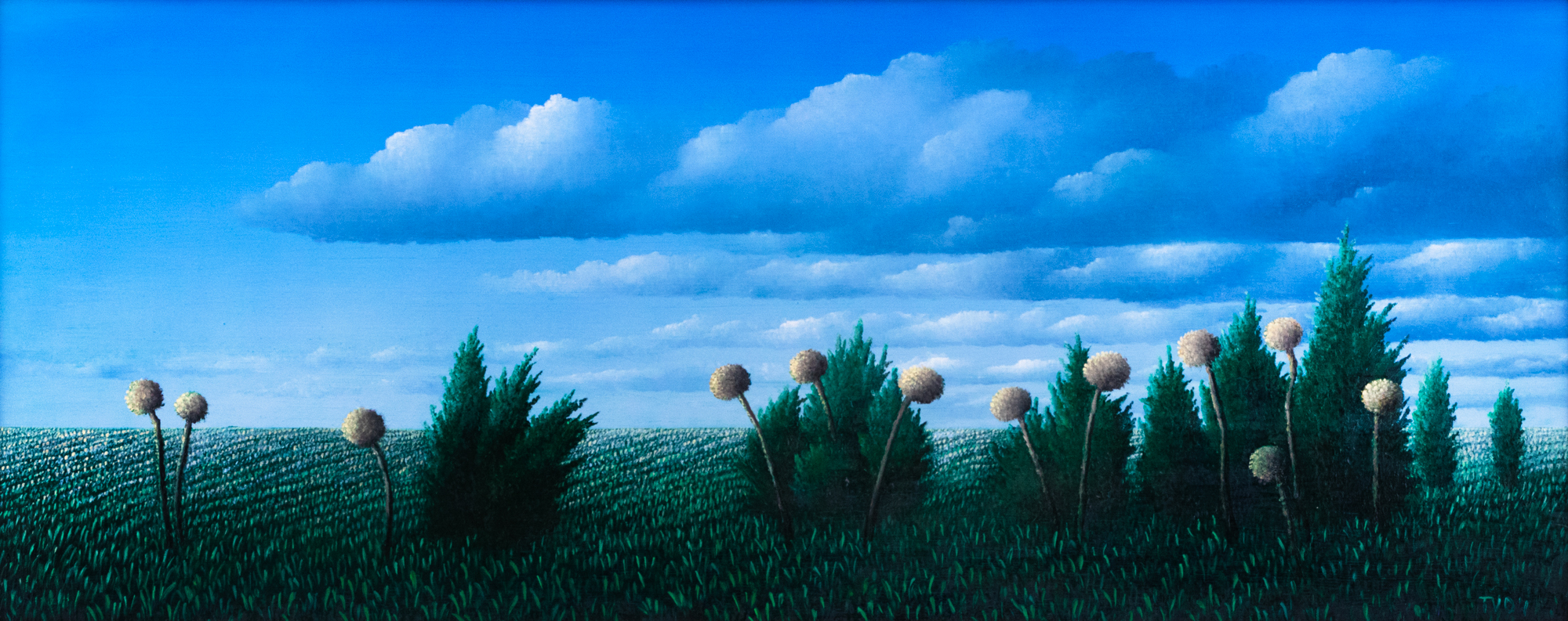 Growing among the Junipers