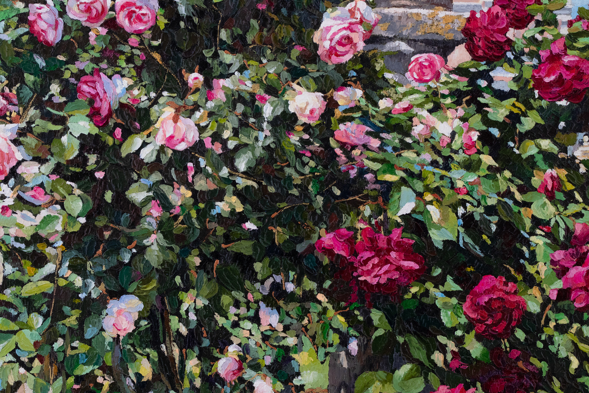 Roses in Rothschild Garden