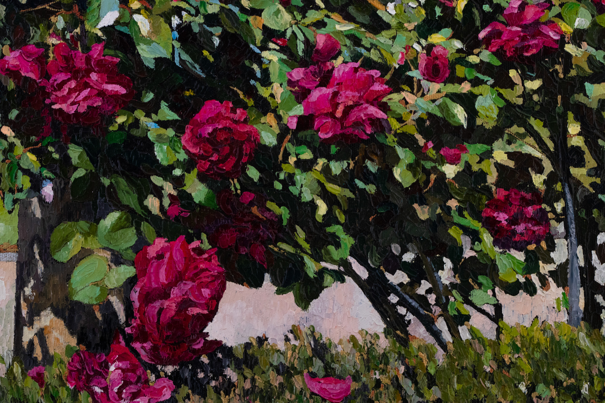 Roses in Rothschild Garden