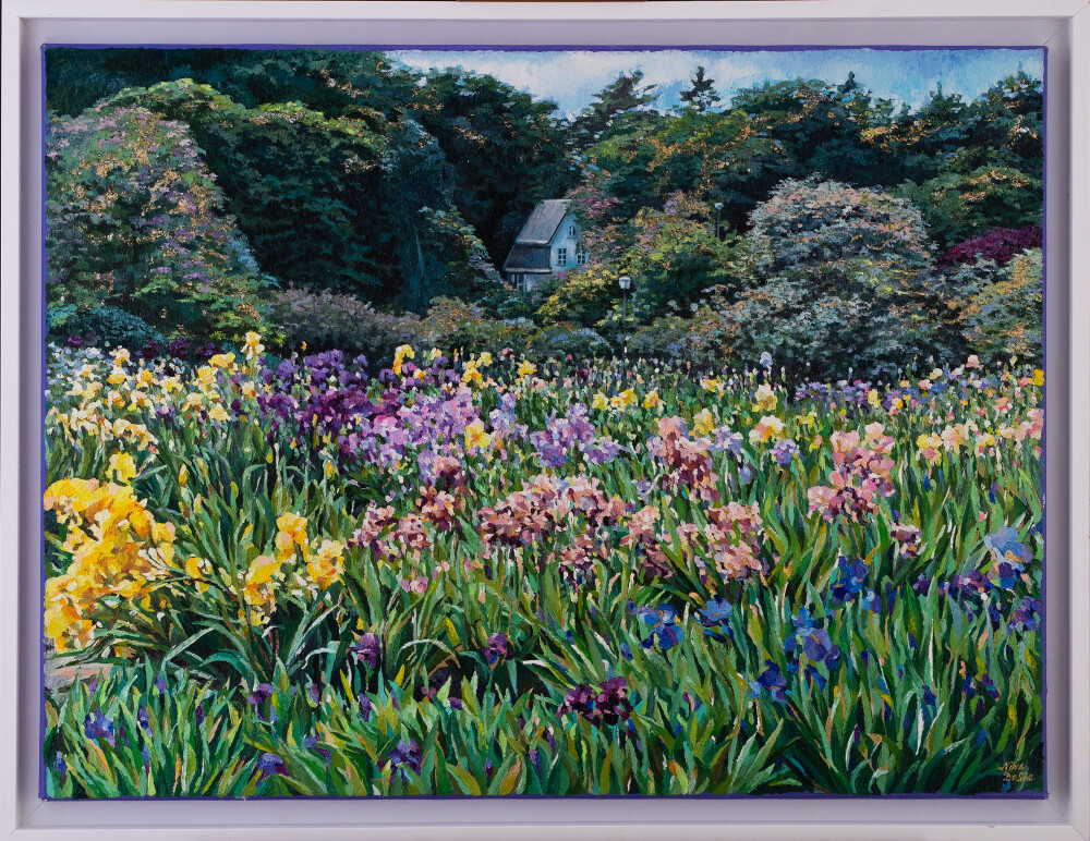 Irises in the Botanical Garden. Tallinn