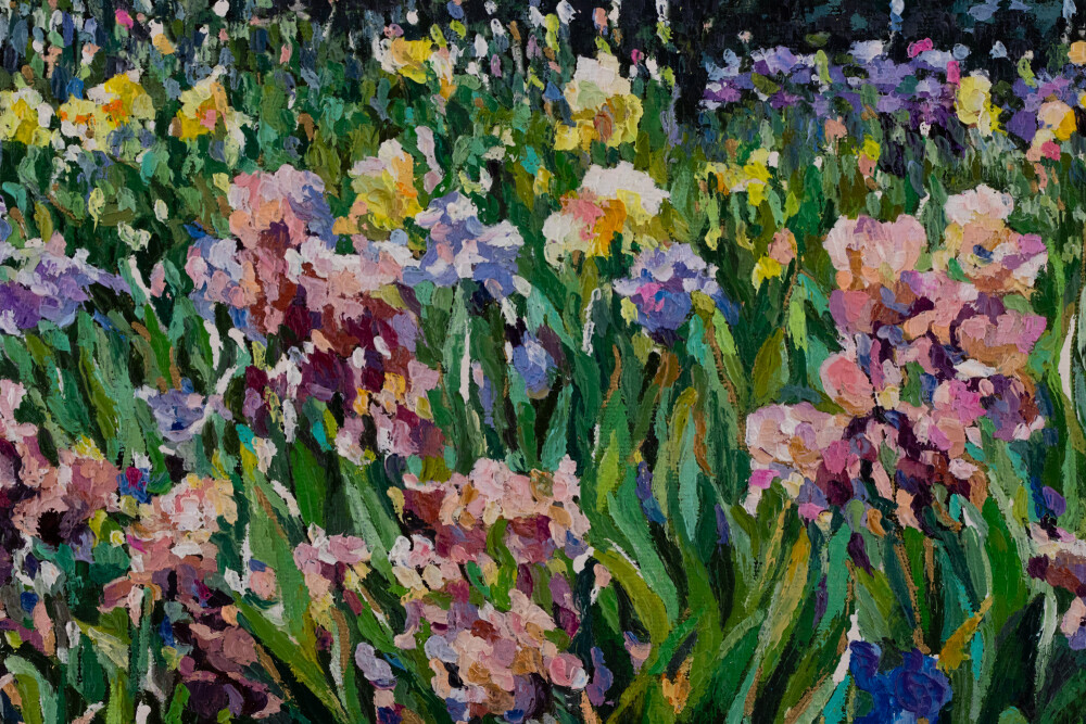 Irises in the Botanical Garden. Tallinn