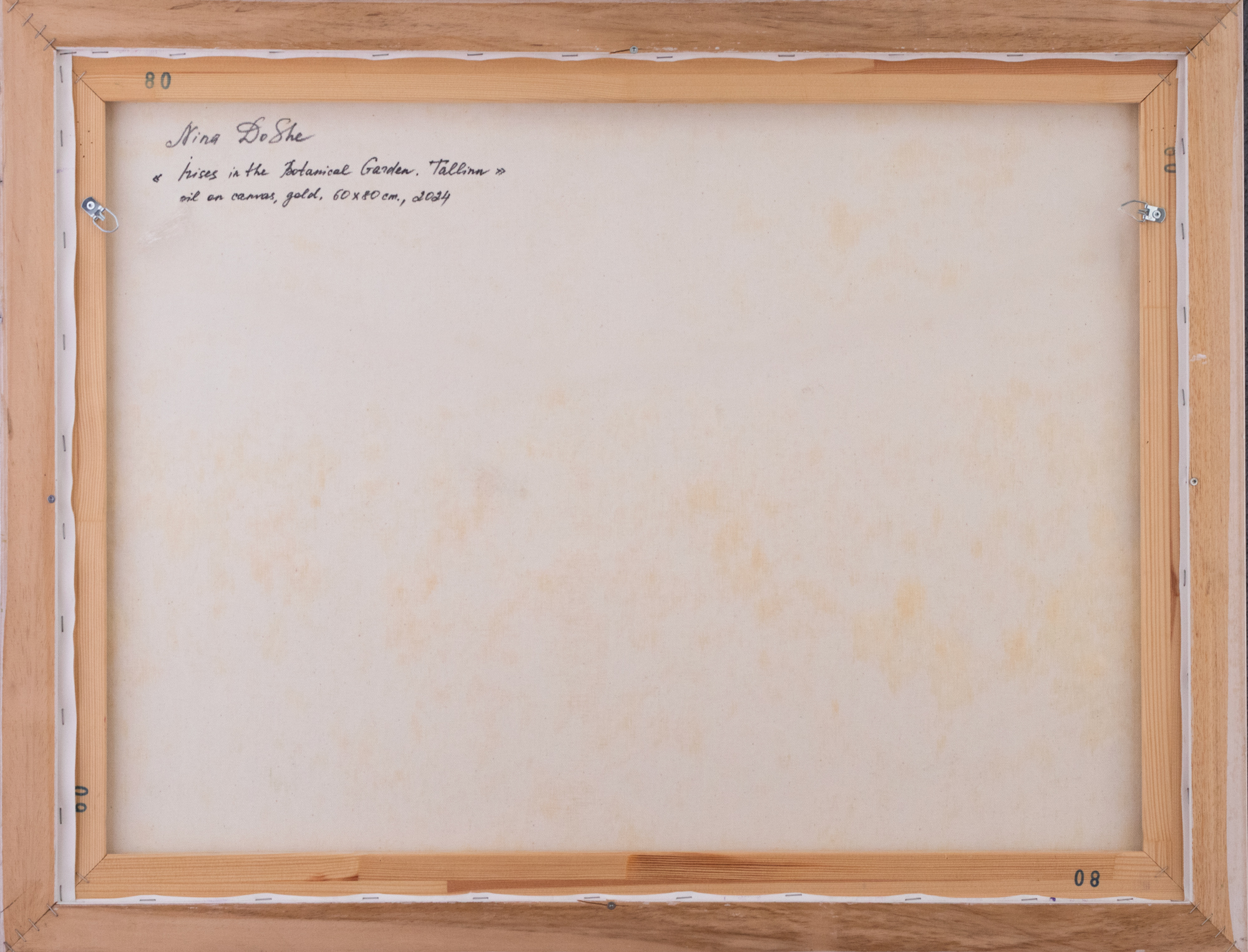 Irises in the Botanical Garden. Tallinn