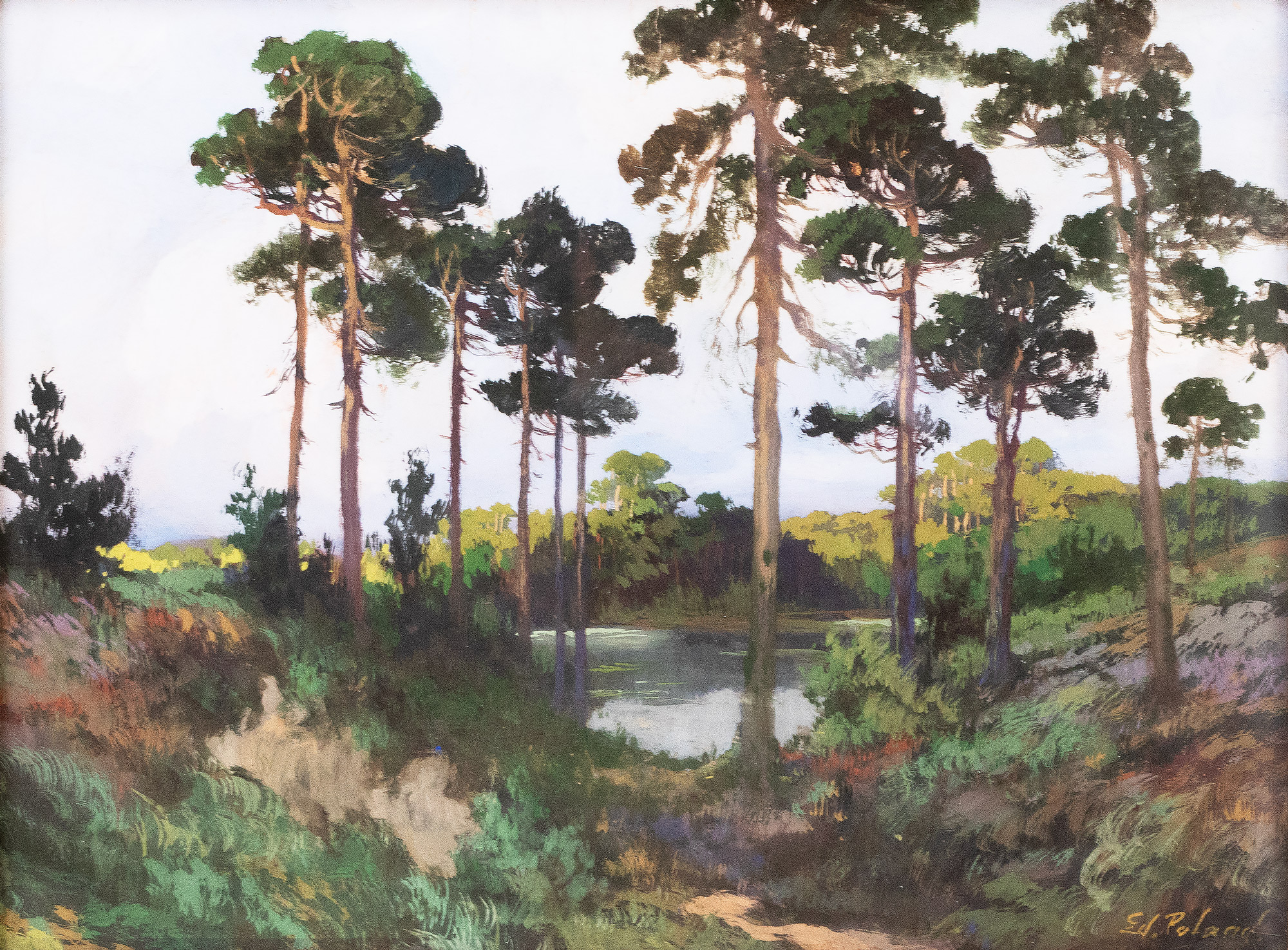 Forest Lake