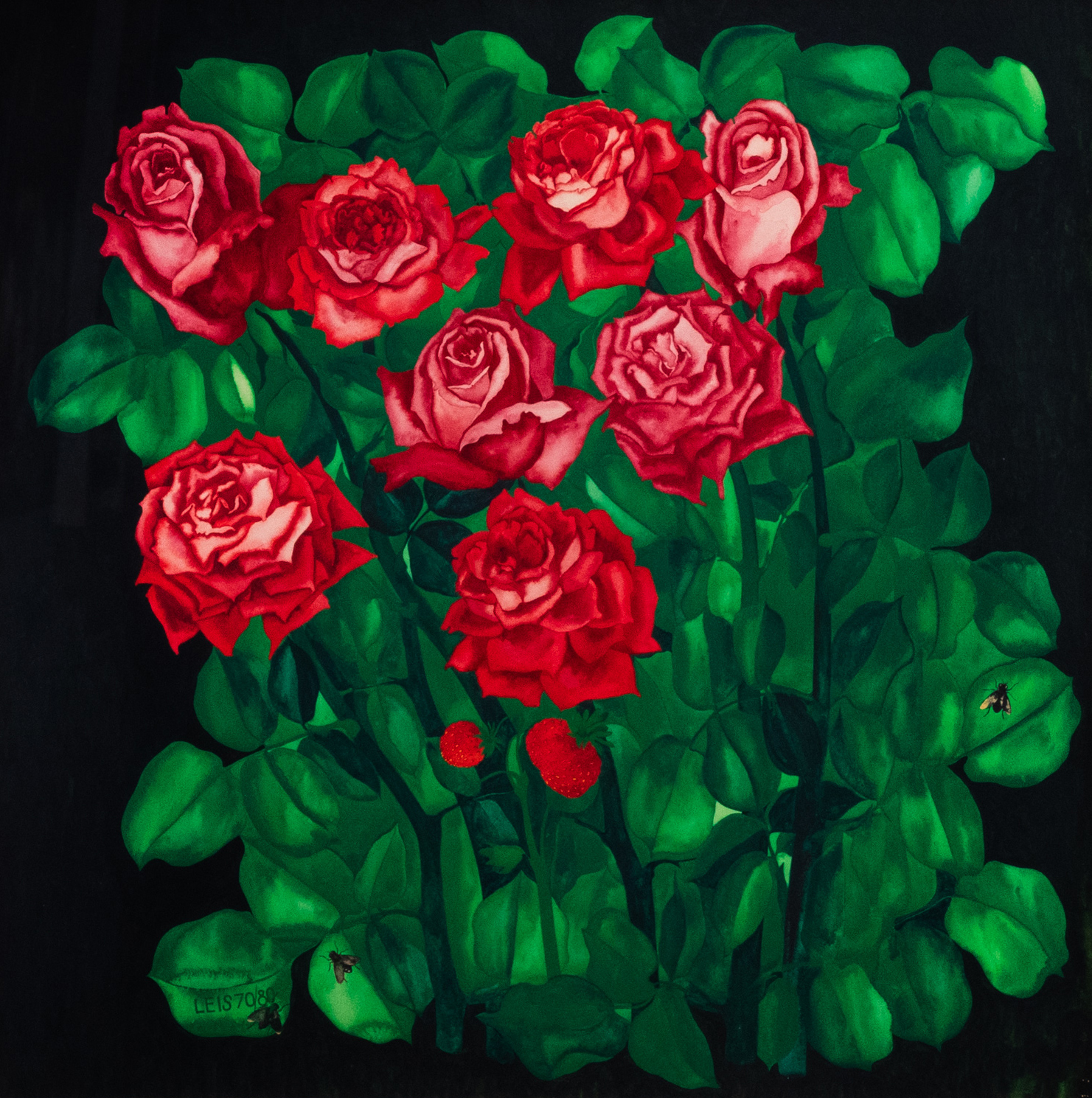 Roses