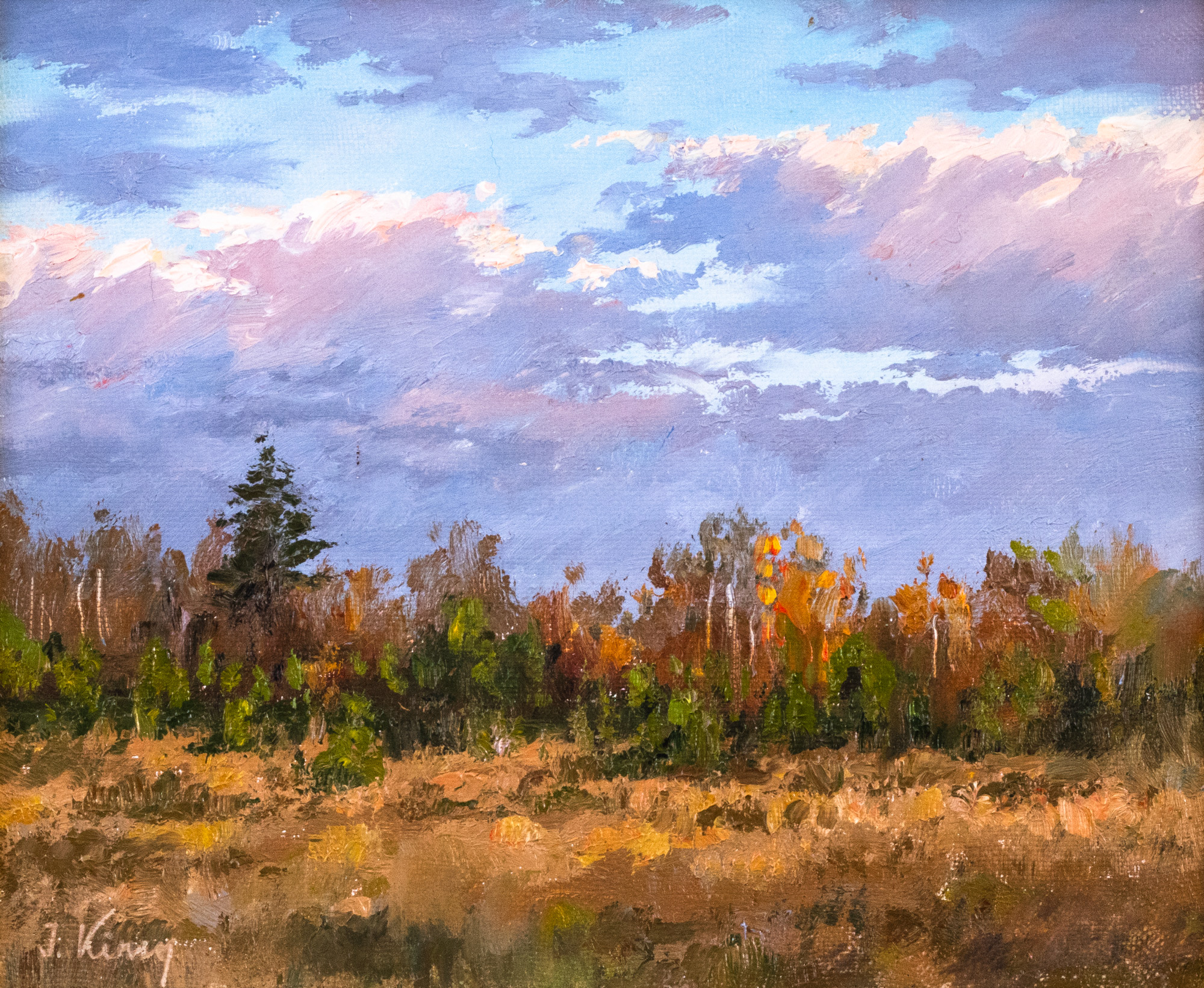 Evening Clouds