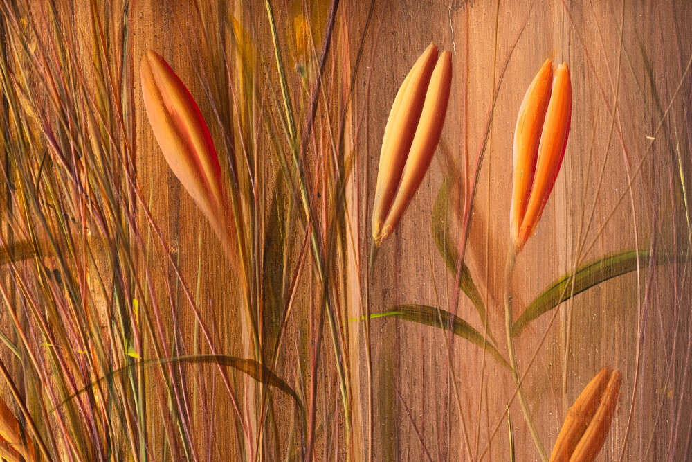 Juured