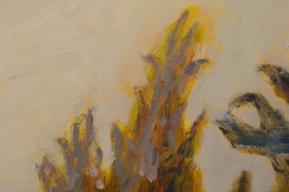 Boat in the Junipers