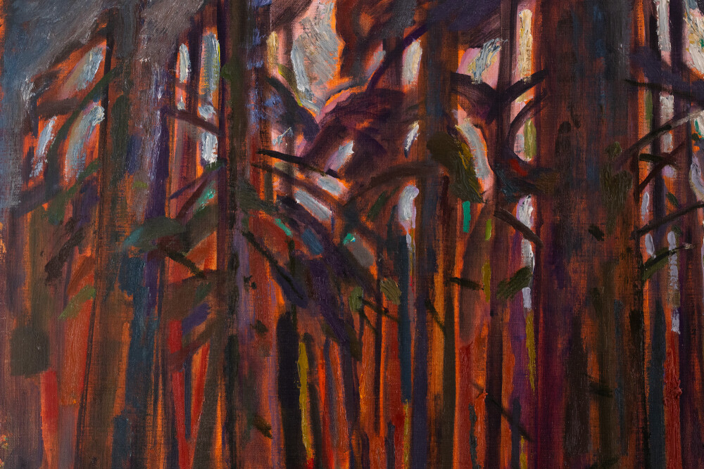 Kihnu metsas