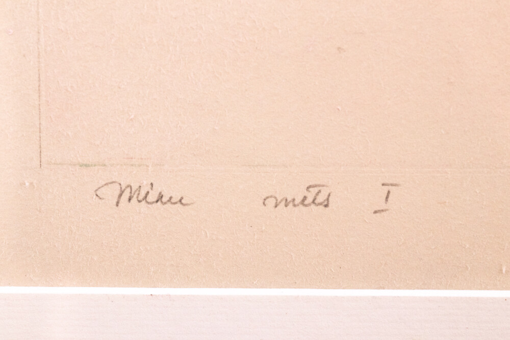 Minu mets I
