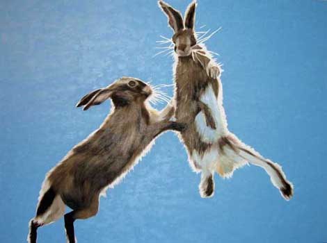 We are two loverabbits, making love in the bushes