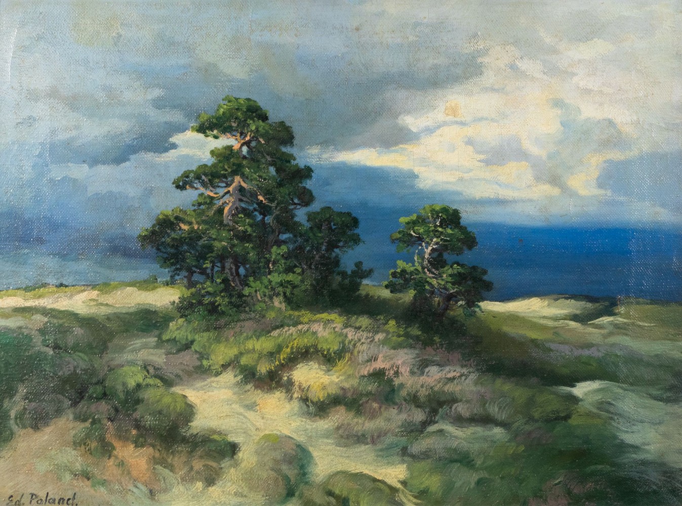 Landscape With Pine Trees