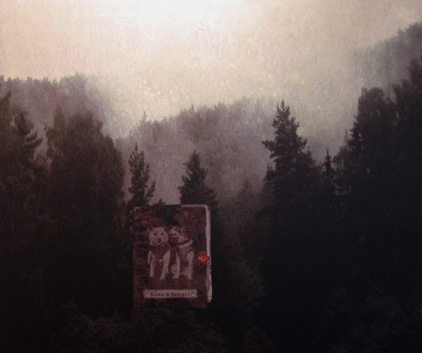 Belka ja Strelka õhtuti metsas