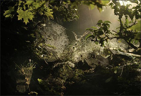 Miski on kõigega seotud