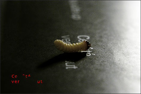 Eleegiline pööripaev