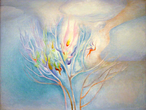 Õitsev põõsas talvel