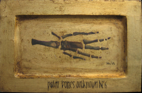 Kollektsioon: käelaba luud nr. 6