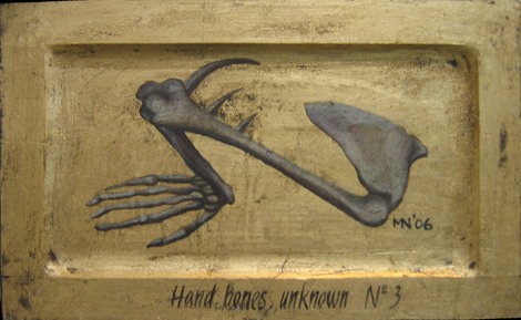 Kollektsioon: õlavarre luud nr. 3