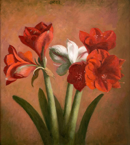 Punased amarüllised valgega