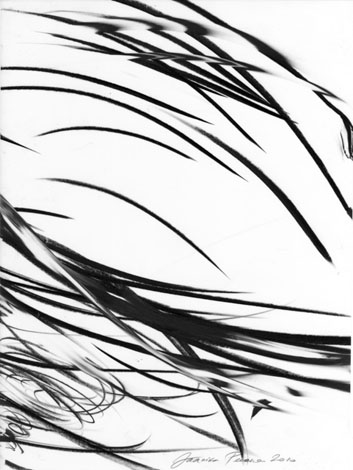 Tuule tantsu seeria I