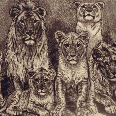 Lõvide perekond