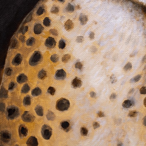 Cheetah at Night (16206.1382)