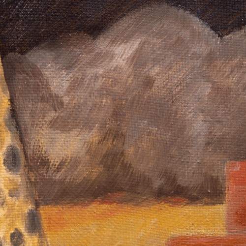 Cheetah at Night (16206.1384)