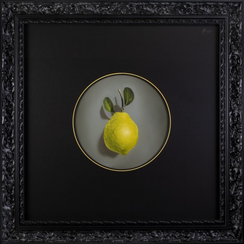 Little Lemon (16485.1590)