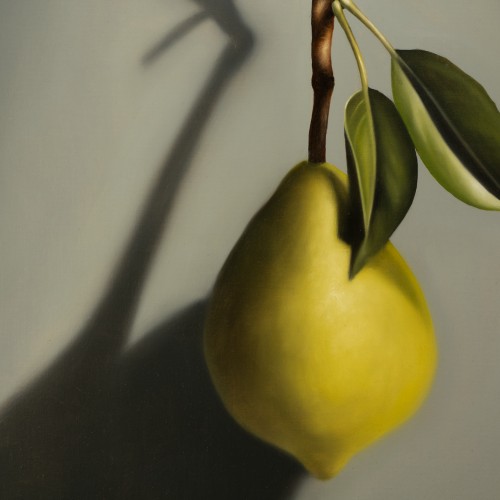 Hanging Lemon (16489.1573)