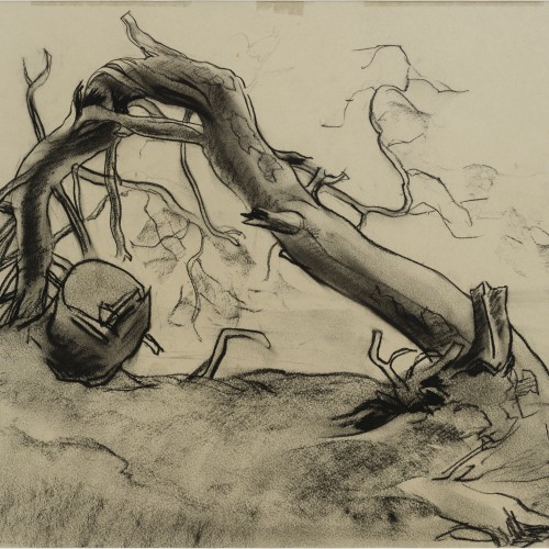 Günther Reindorff "Pine Broken From Storm"
